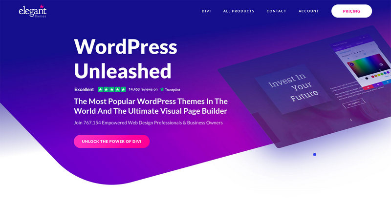 Elegant Themes at the WordPress